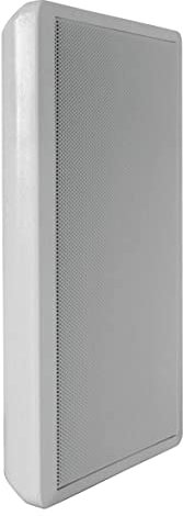 Dynavox WS-502 Flatpanel Lautsprecher 40 Watt silber (Paar)