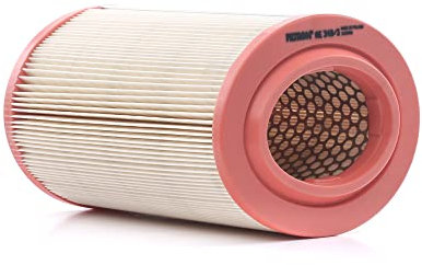 Filtron ae348/3 Filtro aria