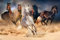 Pferde - Herde - Natur Poster Foto Pferde - Grösse 91,5x61 cm