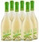 SCAVI & RAY Hugo Aperitivo – 6 x 0,75l italienischer Prosecco Cocktail mit Holunderblüte & Minze, erfrischend süß und spritzig, 5,5% Vol. Alkohol – der Begleiter für gesellige Runden oder als Aperitif