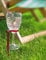Hands Free Wine Glass Holder