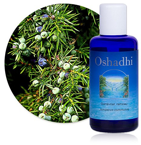 Hydrolat (Eau florale) : Genévrier, rameau BIO - Juniperus communis - 100 ml