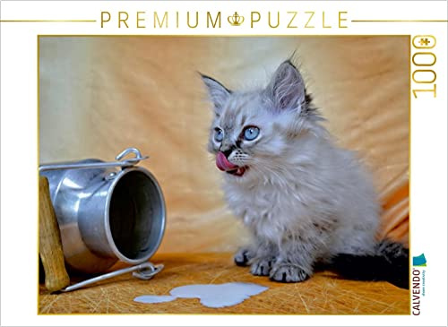 CALVENDO Puzzle Kätzchen | 1000 Teile Lege-Größe 64 x 48 cm Foto-Puzzle für glückliche Stunden