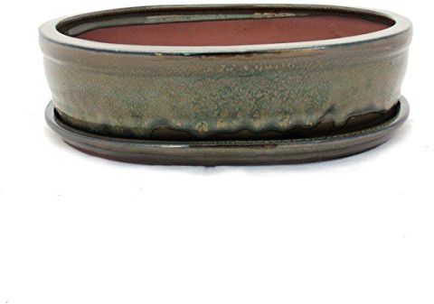 Bonsaï Bol avec sous assiette Taille 5 – Vert Olive/marron – Ovale – Modèle o7 – L 31 cm – B 24 cm – H 7,5 cm