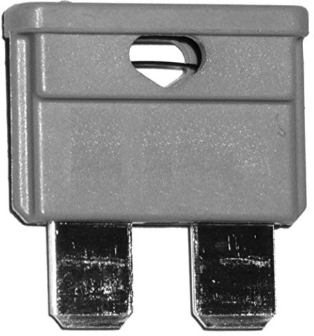 AERZETIX - C10343-10 x Sicherungen - 2A - Grau - Midi - 19mm - 6V 12V 24V 32V - für Auto - Motorrad - LKW