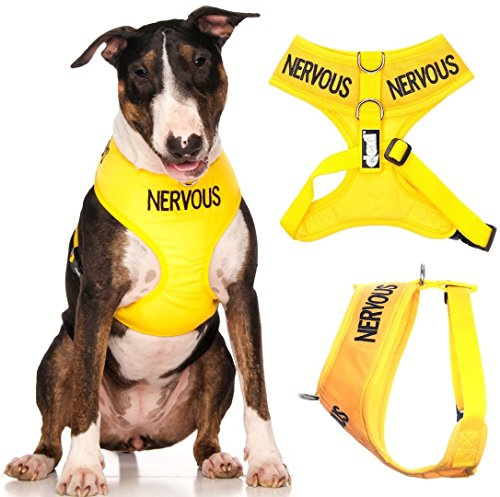 Dexil NERVOUS (Give Me Space) Yellow Colour Coded Non-Pull Front and Back D Ring Padded and Waterproof Vest Dog Harness PREVENTS Accidents By Warning Others Of Your Dog In Advance (L)