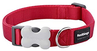 Red Dingo Nylon Hundehalsband, rot, L (DC-ZZ-RE-LG)