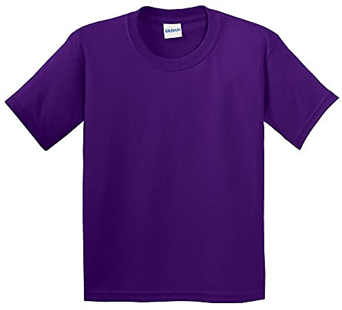 Gildan Childrens Unisex Soft Style T-Shirt (L) (Purple)