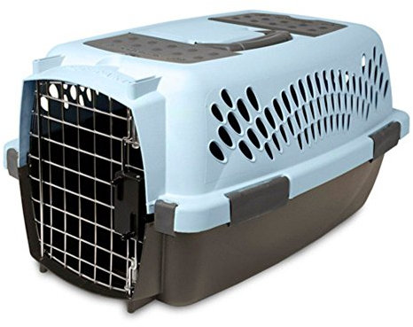 Aspen Pet Pet Porter Kunststoff-Transportbox für Hunde