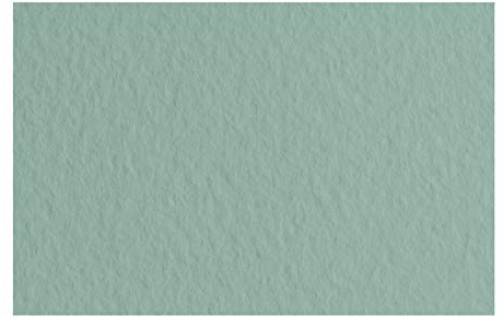 FABRIANO Tiziano Pastellpapier Salvia, DIN A4, 50 Blatt, 160 g/m², hoch hadernhaltig, säurefrei und alterungsbeständig, griffige, raue Oberfläche