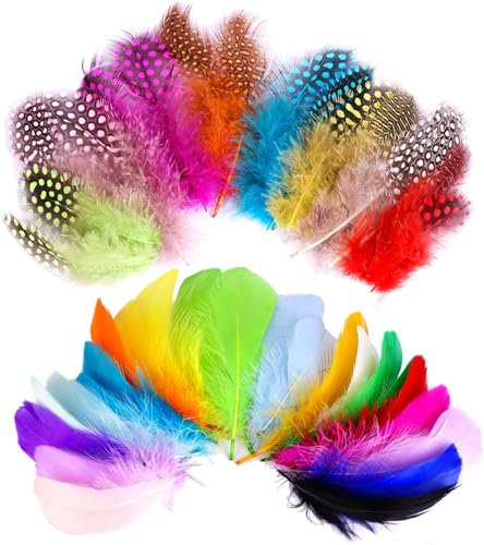 Federn Zum Basteln, 300 Stück Natürliche Bunte Federn Indianer Feder für Traumfänger Basteln, Kostüme, Hüte, Zuhause Dekor, DIY Ohrring Hochzeit Handwerk Kopfschmucksfedern Halloween Dekoration