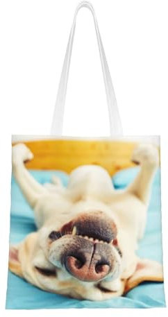 FUkker Tragetasche, Canvas-Tasche, neuartige Tragetasche mit langem Griff, Umhängetasche, Einkaufstasche, wiederverwendbare Tasche, Schlafender Labrador