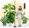 chiphy 60W 216cm Pflanzenlampe, Vollspektrum-Pflanzenlicht für Zimmerpflanzen, 4/8/12H Timer, 60W Grow-Lampe, 10 dimmbare Helligkeit, höhenverstellbar