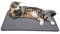 PETTOM Kratzmatte für Katzen, aus natürlichem Sisal, Kratzmatte für Katzen, Sisal, Katzen, Kätzchen, schützt Teppich und Sofas, praktisch, rutschfest, Pflegespielzeug für Krallen, rechteckig,