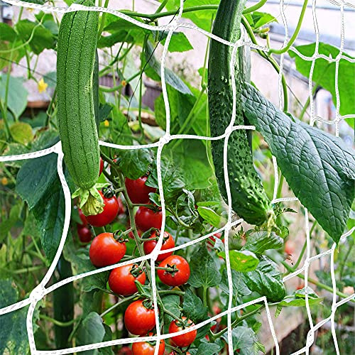 CANAGROW - Rete a traliccio per piante rampicanti, per interni ed esterni, per fagioli, pomodori, piselli, zucca, fiori di zucca, confezione da 2