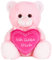 BRUBAKER Teddy Plüschbär mit Herz Pink - Ich Liebe Dich - 25 cm - Teddybär Plüschteddy Kuscheltier Schmusetier - Stofftier Rosa