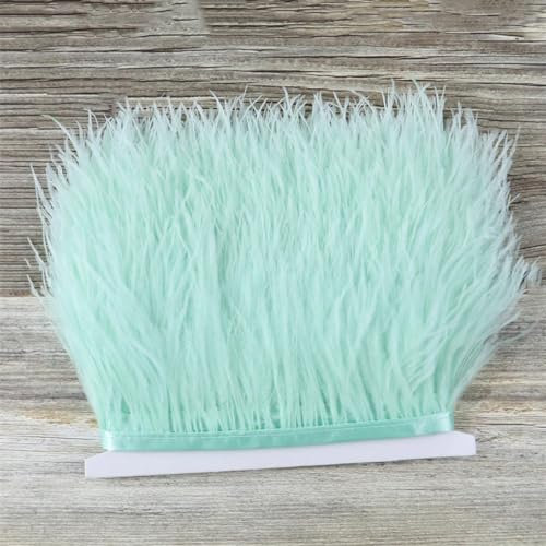 Cinta blanca de plumas de avestruz de 10 metros de largo, para vestido de novia, chal, decoración cálida, manualidades, costura, 8-10 cm, decoración verde menta, 10 metros