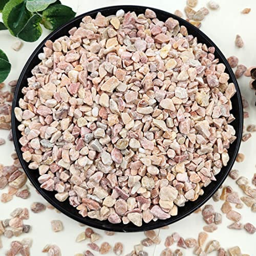 YISZM 2,3 kg Sukkulenten und Kaktus Kies, natürliche dekorative polierte Steine, Flusssteine für Pflanzen, Vasen, Aquarien, Terrarium und Gartenarbeit im Freien