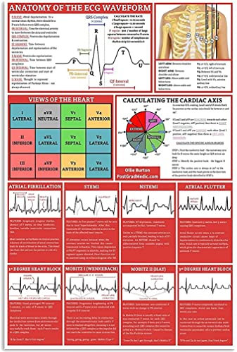 FJQWKLF Anatomie der EKG-Wellenform, Metallschilder, Kardiologe, Wissensführer, Poster, Krankenhaus, Büro, Wissenschaft, Wanddekoration, Klinik-Raumdekoration, Plakette, 30,5 x 40,6 cm