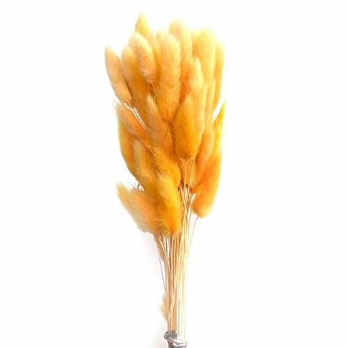 YLREAN 50 Stück/Packung Natur Hasenschwanz Gras Getrockneter Blumenstrauß Hochzeitsfeier Dekor Flauschiges Weihnachten DIY Blumenarrangement-8
