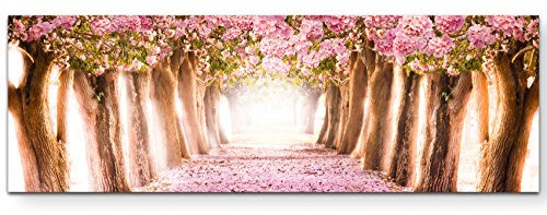 Paul Sinus Art Leinwandbilder | Bilder Leinwand 150x50cm Allee aus rosa Blüten