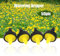 50pcs Garden d'irrigation Tuyau 4L Stabilitateur de Courant d'égouttement, Dégouttières 1 à 4 Barre Compensation de Pression, Flux 'eau 4L / H, Tuyau 4/7 Mm utilisé dans Divers Endroits avec une