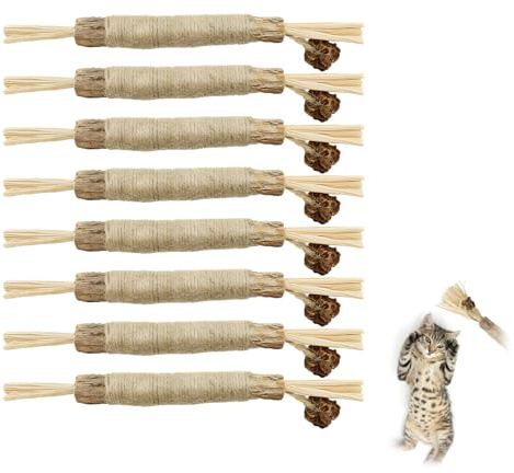 8 Palitos de Mascar para Gatos, Masticar Palos Gato Ratones para Gatos Paras Jugar Juguetes Paray Gato Divertidos Palitos Paras con Hierba Gatera Palito Paray Masticar Juguete Juguetes del Catnip