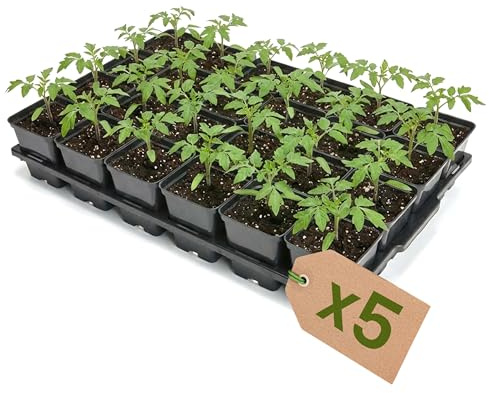 Garronda Anzuchtschale 24 Plätze mit 0,5 L Pflanztöpfen eckig 5er Set Transporttray Kunststoff für Gewächshaus Garten Anzuchtsysteme mechanischen Transport Schwarz GD-0208