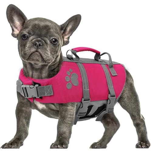 Queenmore Salvagente Cane Taglia Grande, Con Maniglia Di Salvataggio, Per Cani Grandi, Bassotto, Nuotare, Kayak, Paddleboarding (L, Fucsia)