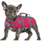 Queenmore Salvagente Cane Taglia Grande, Con Maniglia Di Salvataggio, Per Cani Grandi, Bassotto, Nuotare, Kayak, Paddleboarding (L, Fucsia)