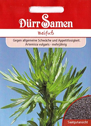 Frauenkraut, Beifuß, mehrjährig, Artemisisa vulgaris, ca. 800 Samen