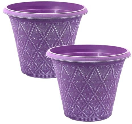 Prisma Decorative 12 Raisin Planter