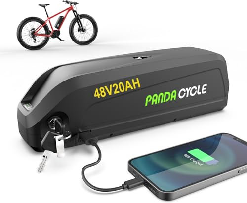 48V 20AH EBike Battery Electric Bicycle Hailong Battery 48V Lithium ion Batteries Pack for 200W-1800W Motor, with 3A Fast Charger, Indicator Light, Safe Lock, 5 Pin Base Plate, USB Port
