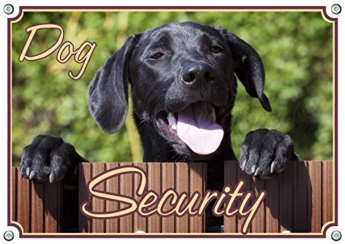 Petsigns Hundeschild Labrador - Warnschild aus Metall - wetterfest und uv-beständig, DIN A4