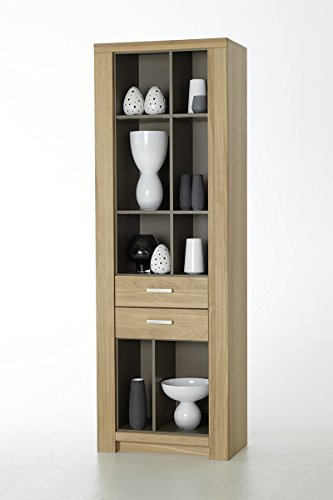 Beauty.Scouts Kombivitrine 'Chris I' Standvitrine Sammlervitrine Glasvitrine Aufbewahrung Schrank Vitrine Wohnzimmerschrank 70x208x38cm Eiche Totilas massiv geölt