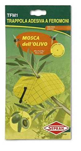 Sepran Tfm1 Trappola per Mosca Dell'Olivo Confezione da 2 Trappole.