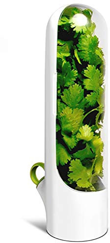 Stecto Récipient de conservation de la fraîcheur de la vanille et des herbes aromatiques - Conserve les légumes et les légumes - Pour la cuisine