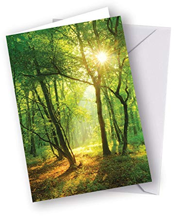 This Card Plants A Woodland Tree | Greetings Card | Plant a tree in a UK woodland to celebrate | A green environmental gift with a unique Tree Code | Birthday | New Baby | Anniversary | Christmas