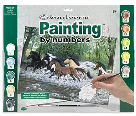 Royal & Langnickel PAL26 Free Spirits Painting by Numbers Kit