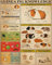 Meerschweinchen Wissen Meerschweinchen Puzzle Erwachsene 500 Teile Familie Dekoration Bild Holz Puzzles