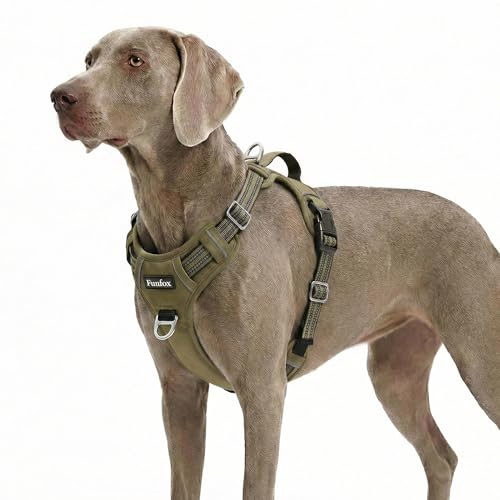 Funfox Hundegeschirr Kleine Hunde [XL] - Anti Zug Welpengeschirr mit Griff & Ringreflektoren, Atmungsaktives Verstellbares No Pull Brustgeschirr für Kleine Mittelgroße Hunde Outdoor Militärgrün