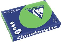 Clairefontaine Farbpapier Trophäe, Pastellfarben, A3, Hellgrün, 1 Stück
