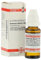 DHU Arsenicum album C200 Dilution, 20 ml Lösung