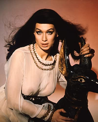 worldphotographs Blood from the Mummy's Tomb (1971) Valerie Leon Hammer Horror 10x8 Photo