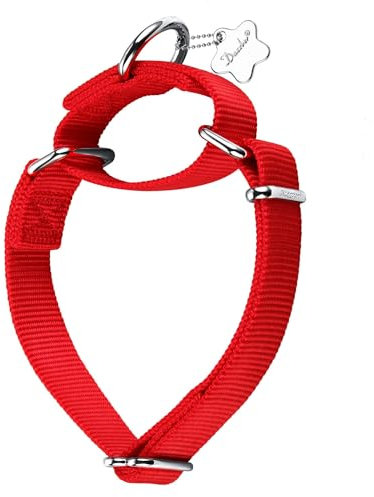 Dazzber Martingal Halsbänder für Hunde, Verstellbar Langlebig Kein Escape Stop Ziehen Hundehalsband Nylon für Große/Mittlere/Kleine Hunde (M, Rot)