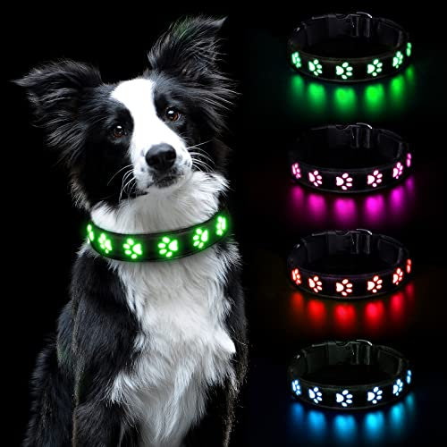 AUAUY Hundehalsband Leuchtend, LED Leuchthalsband Hunde Halsband USB Wiederaufladbar Wasserdichtes für Kleine Mittlere Große Haustier Einstellbar Sicherheit Kragen mit 3 Beleuchtungsmodi (Grün-M)