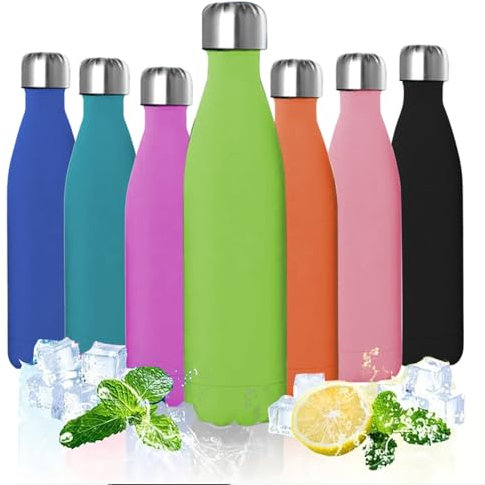 ProBytes Stainless Steel 750ml Water Bottle - Thermal Vacuum Insulated Flask, Double Wall BPA-Free Material, Upto 12/24 Hrs Hot/Cold, Leak-Proof, Sports, Office, Gym, Travel, Unisex - Matte Mint