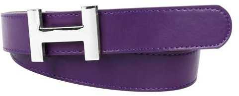 Zakatte • Damen Gürtel aus Kunstleder mit H-Schnalle Hüftgürtel Taillengürtel Damengürtel BS058 (Lila-Silber, 95 cm)