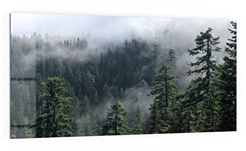 DEQORI Küchenrückwand Glas | Motiv Tannenspitzen im Nebel | 100x50 cm | Bad- oder Herd-Rückwand | Herdblende Spritzschutz für Küche & Badezimmer | moderne Deko für Fliesenspiegel