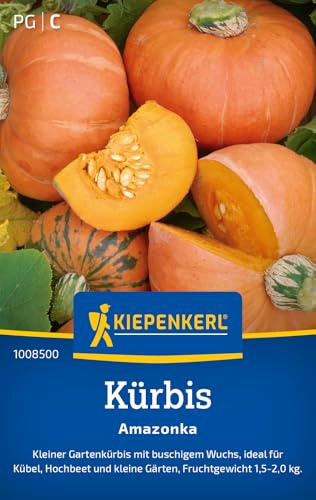 Kiepenkerl Kürbissamen Amazonka 1008500, Gemüsesaat | Fruchtgewicht 1,5-2,0 kg, Inhalt für 7 Pflanzen, Früchte 1,5-2,0 kg